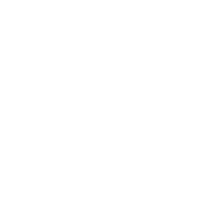 rv-300x300